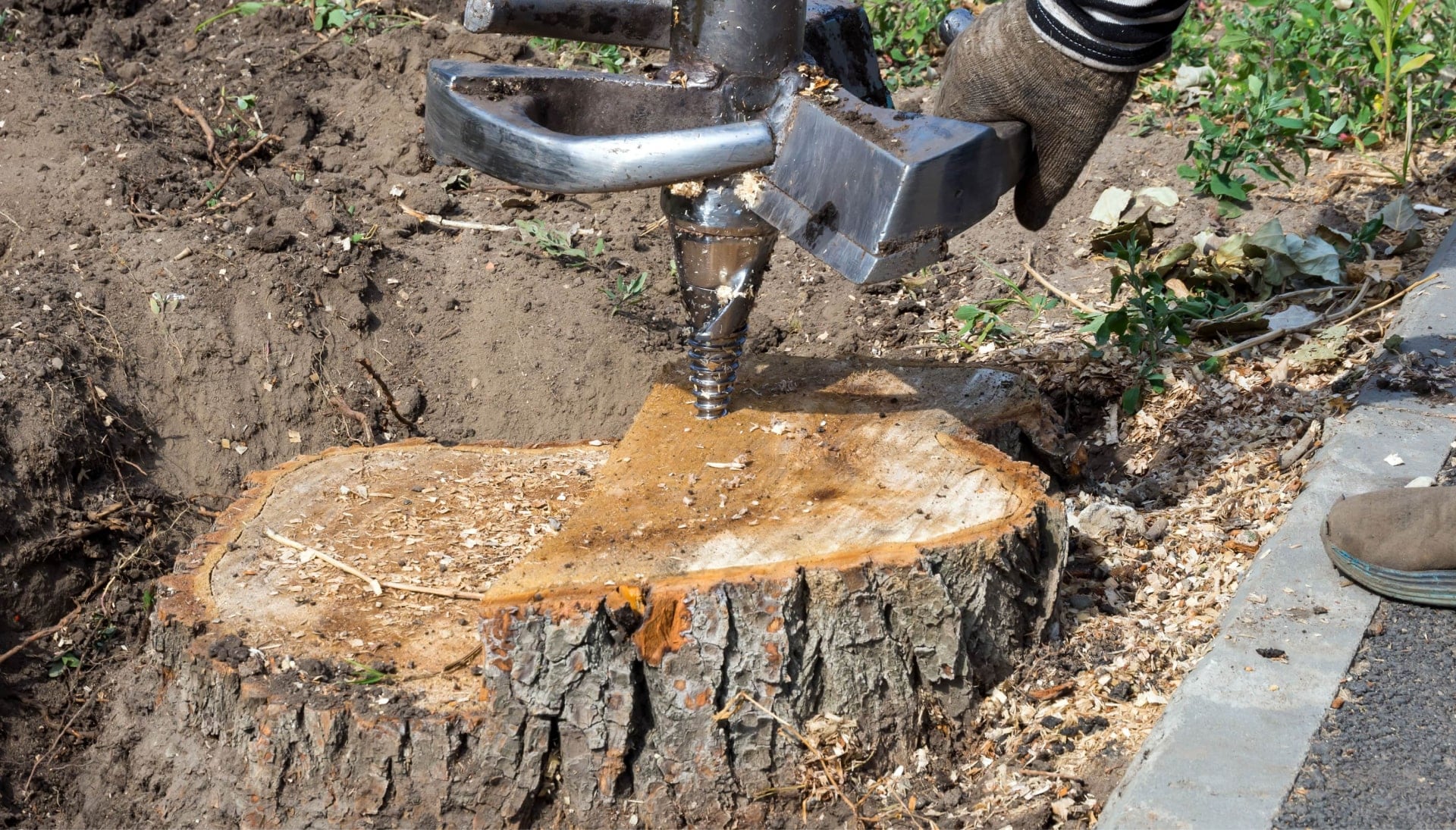 Naperville Tree stump removal